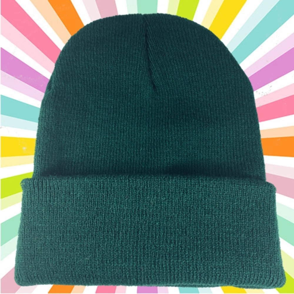 Forest Green Beanie Took Winter Hat Ski Hat New One Size